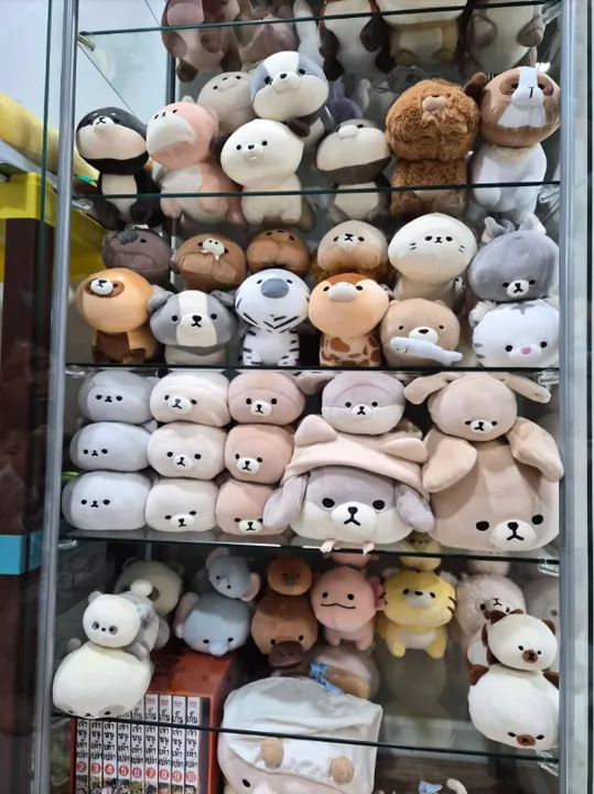 ตุ๊กตาสะสมจากญี่ปุ่นเรียงบนชั้น